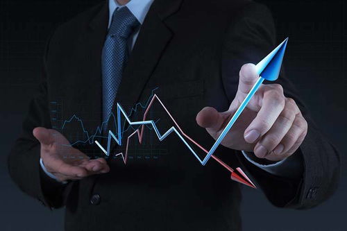 拓商之道 拼多多運(yùn)營實(shí)戰(zhàn)攻略，告別“沒流量”困境的站內(nèi)推廣秘笈