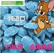 高效除鼠新選擇 最新粘鼠板產(chǎn)品全方位解析與選購(gòu)指南