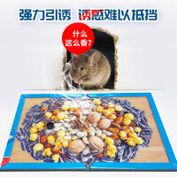 2025年度十款熱門(mén)粘鼠板產(chǎn)品榜 居家防鼠，值得入手的強(qiáng)力推薦